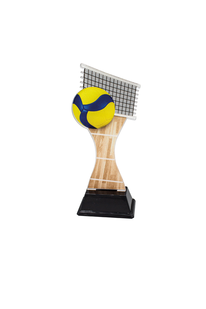 Trofeo voleibol de metacrilato