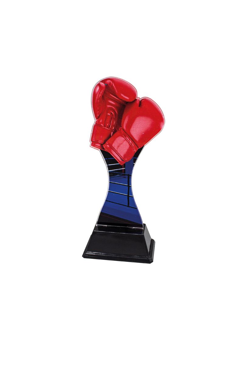 Trofeo artes marciales de metacrilato